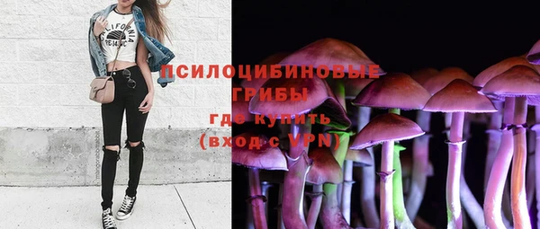 героин Алексин